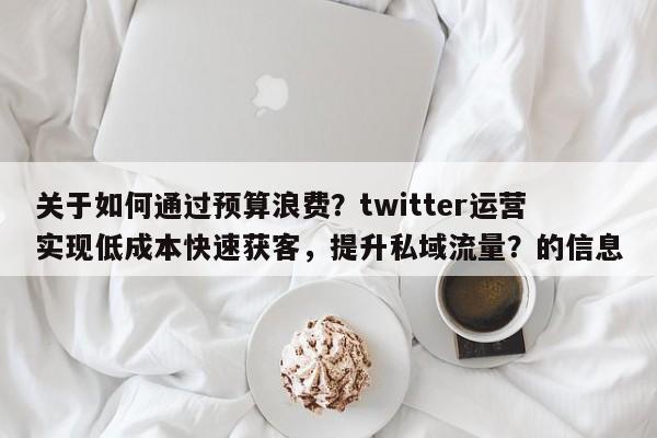 关于如何通过预算浪费?twitter运营实现低成本快速获客,提升私域流量?的信息