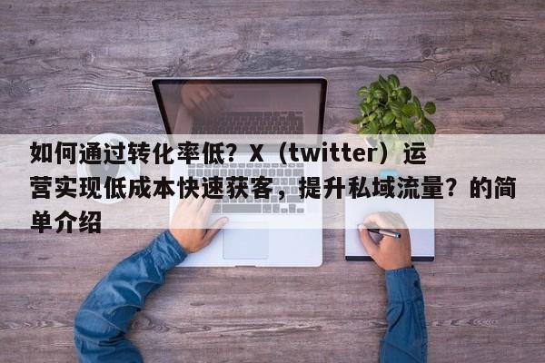 如何通过转化率低？X（twitter）运营实现低成本快速获客，提升私域流量？的简单介绍
