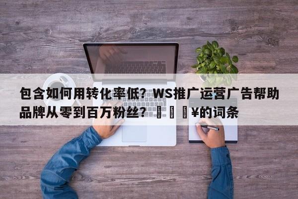 包含如何用转化率低？WS推广运营广告帮助品牌从零到百万粉丝？💥的词条