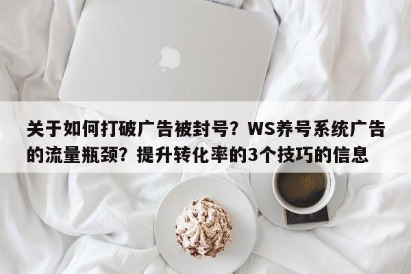 关于如何打破广告被封号？WS养号系统广告的流量瓶颈？提升转化率的3个技巧的信息