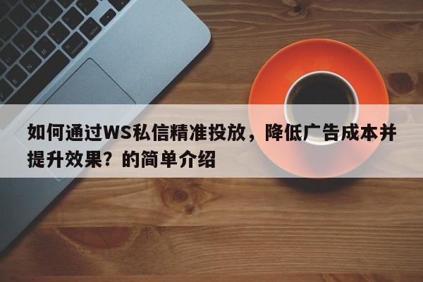 如何通过WS私信精准投放，降低广告成本并提升效果？的简单介绍