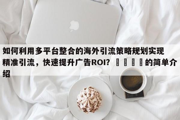 如何利用多平台整合的海外引流策略规划实现精准引流,快速提升广告ROI?💡的简单介绍