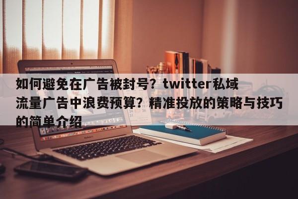 如何避免在广告被封号？twitter私域流量广告中浪费预算？精准投放的策略与技巧的简单介绍