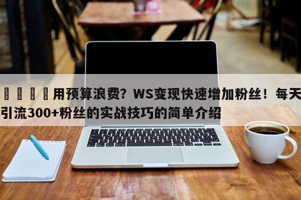 📣用预算浪费？WS变现快速增加粉丝！每天引流300+粉丝的实战技巧的简单介绍