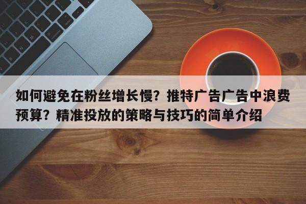 如何避免在粉丝增长慢？推特广告广告中浪费预算？精准投放的策略与技巧的简单介绍