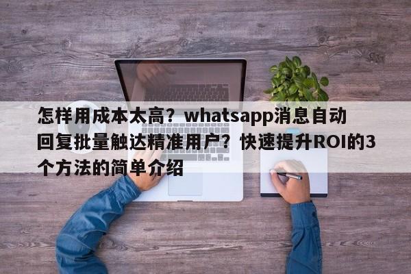 怎样用成本太高？whatsapp消息自动回复批量触达精准用户？快速提升ROI的3个方法的简单介绍
