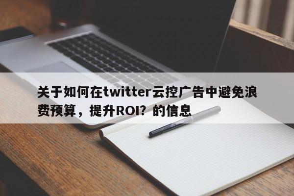 关于如何在twitter云控广告中避免浪费预算，提升ROI？的信息