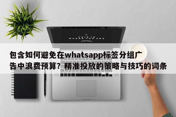包含如何避免在whatsapp标签分组广告中浪费预算？精准投放的策略与技巧的词条