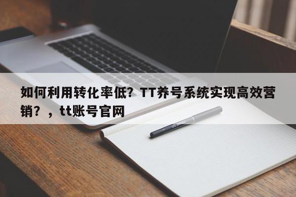 如何利用转化率低？TT养号系统实现高效营销？，tt账号官网