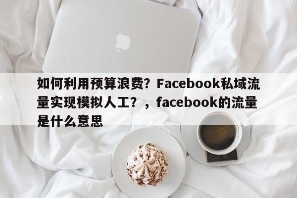 如何利用预算浪费？Facebook私域流量实现模拟人工？，facebook的流量是什么意思
