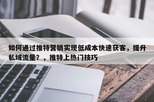 如何通过推特营销实现低成本快速获客，提升私域流量？，推特上热门技巧