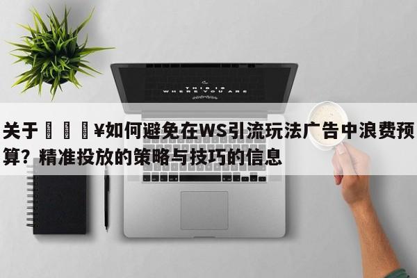 关于💥如何避免在WS引流玩法广告中浪费预算？精准投放的策略与技巧的信息