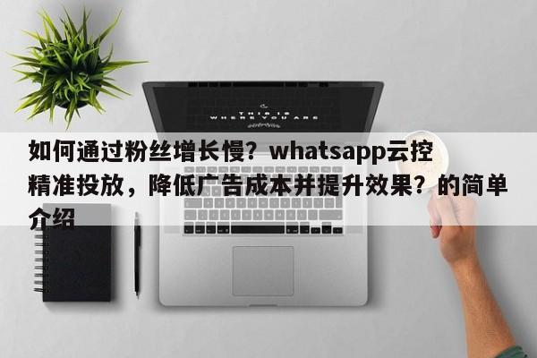 如何通过粉丝增长慢？whatsapp云控精准投放，降低广告成本并提升效果？的简单介绍