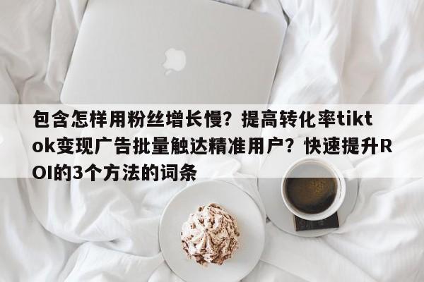 包含怎样用粉丝增长慢？提高转化率tiktok变现广告批量触达精准用户？快速提升ROI的3个方法的词条