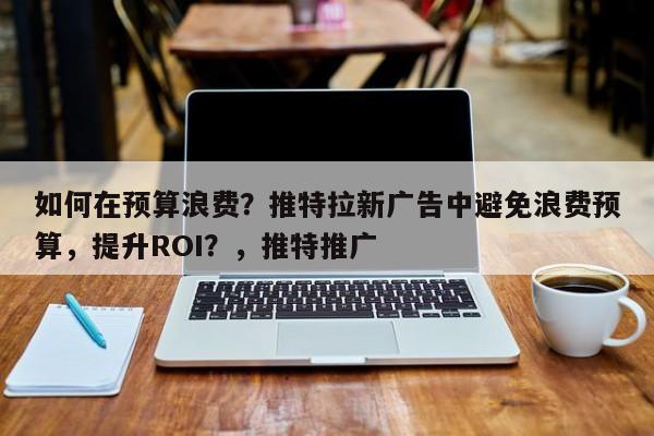 如何在预算浪费？推特拉新广告中避免浪费预算，提升ROI？，推特推广