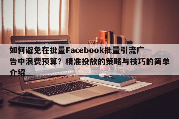 如何避免在批量Facebook批量引流广告中浪费预算？精准投放的策略与技巧的简单介绍