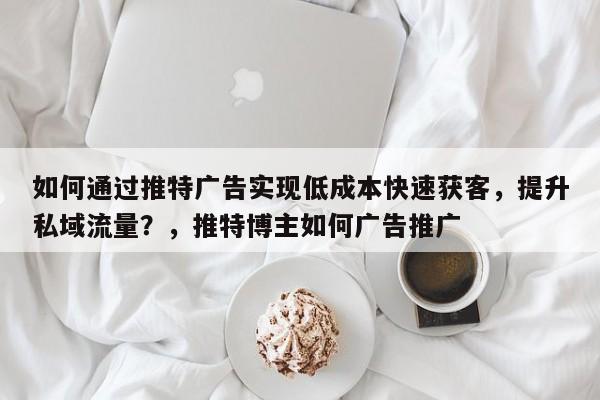 如何通过推特广告实现低成本快速获客，提升私域流量？，推特博主如何广告推广