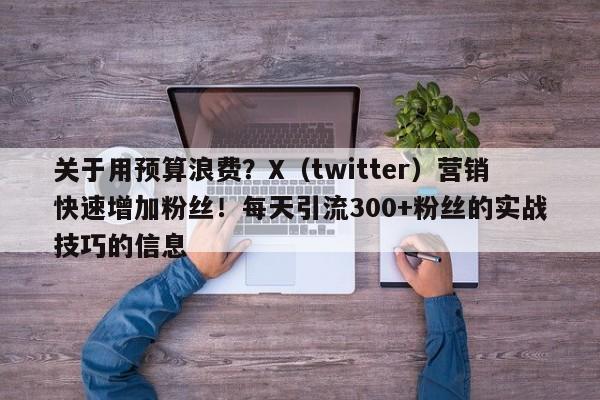关于用预算浪费？X（twitter）营销快速增加粉丝！每天引流300+粉丝的实战技巧的信息