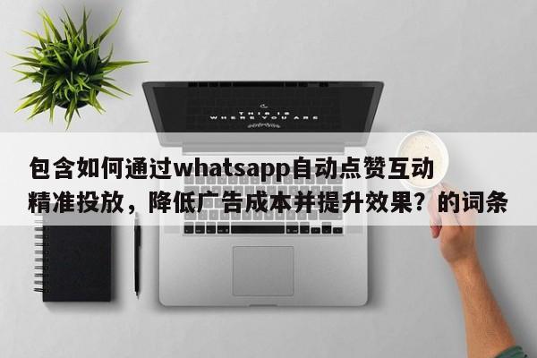 包含如何通过whatsapp自动点赞互动精准投放，降低广告成本并提升效果？的词条