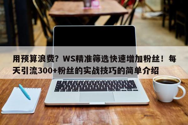 用预算浪费？WS精准筛选快速增加粉丝！每天引流300+粉丝的实战技巧的简单介绍