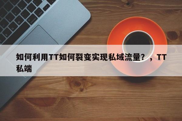 如何利用TT如何裂变实现私域流量？，TT私端