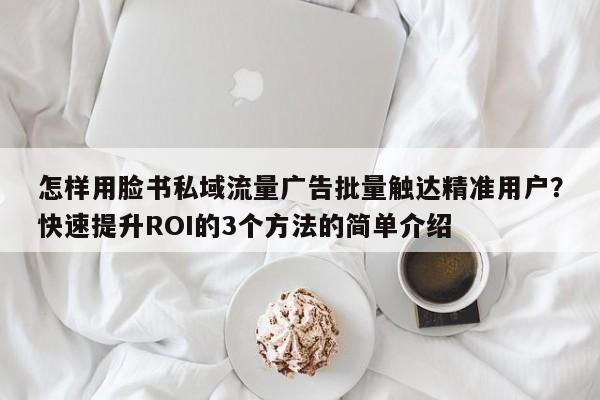 怎样用脸书私域流量广告批量触达精准用户？快速提升ROI的3个方法的简单介绍