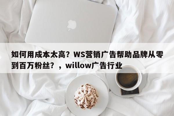 如何用成本太高？WS营销广告帮助品牌从零到百万粉丝？，willow广告行业