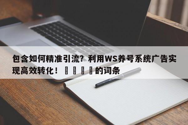 包含如何精准引流？利用WS养号系统广告实现高效转化！🎯的词条