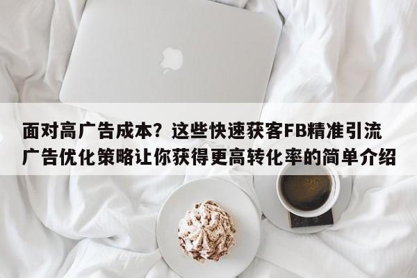 面对高广告成本？这些快速获客FB精准引流广告优化策略让你获得更高转化率的简单介绍