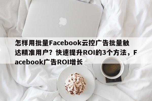 怎样用批量Facebook云控广告批量触达精准用户？快速提升ROI的3个方法，Facebook广告ROI增长