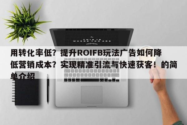 用转化率低？提升ROIFB玩法广告如何降低营销成本？实现精准引流与快速获客！的简单介绍