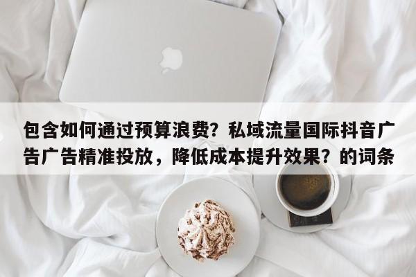包含如何通过预算浪费？私域流量国际抖音广告广告精准投放，降低成本提升效果？的词条