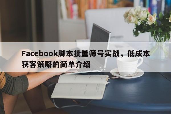 Facebook脚本批量筛号实战，低成本获客策略的简单介绍