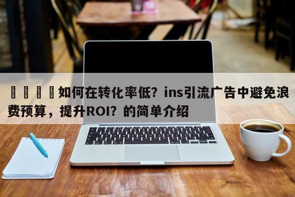 🎯如何在转化率低？ins引流广告中避免浪费预算，提升ROI？的简单介绍