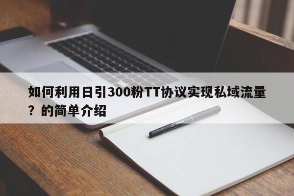 如何利用日引300粉TT协议实现私域流量?的简单介绍