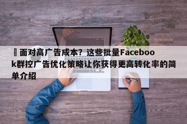 ⚡面对高广告成本？这些批量Facebook群控广告优化策略让你获得更高转化率的简单介绍