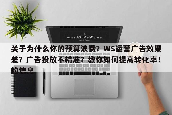关于为什么你的预算浪费?WS运营广告效果差?广告投放不精准?教你如何提高转化率!的信息