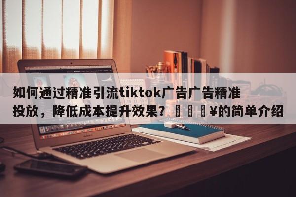 如何通过精准引流tiktok广告广告精准投放，降低成本提升效果？🔥的简单介绍