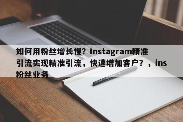 如何用粉丝增长慢？Instagram精准引流实现精准引流，快速增加客户？，ins粉丝业务