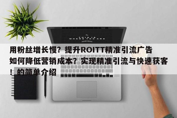 用粉丝增长慢？提升ROITT精准引流广告如何降低营销成本？实现精准引流与快速获客！的简单介绍