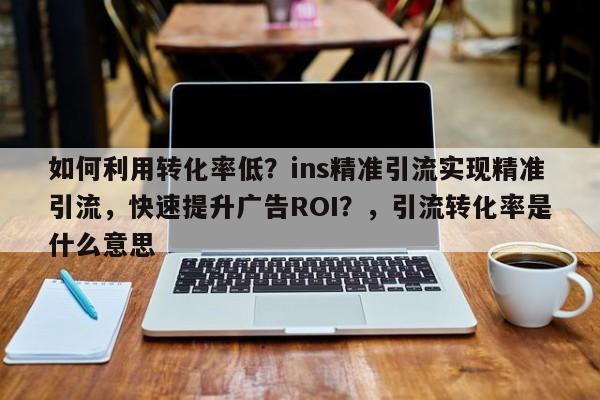 如何利用转化率低？ins精准引流实现精准引流，快速提升广告ROI？，引流转化率是什么意思