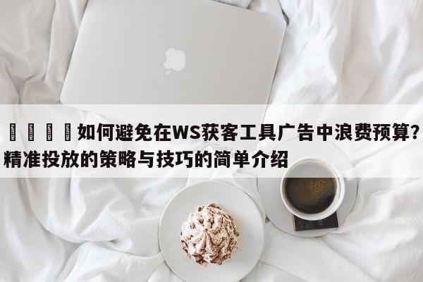📣如何避免在WS获客工具广告中浪费预算？精准投放的策略与技巧的简单介绍