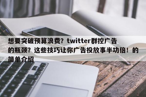 想要突破预算浪费？twitter群控广告的瓶颈？这些技巧让你广告投放事半功倍！的简单介绍