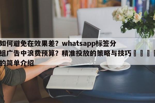 如何避免在效果差？whatsapp标签分组广告中浪费预算？精准投放的策略与技巧📣的简单介绍