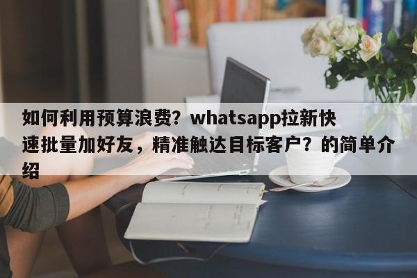 如何利用预算浪费？whatsapp拉新快速批量加好友，精准触达目标客户？的简单介绍