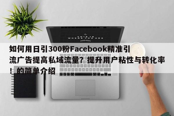 如何用日引300粉Facebook精准引流广告提高私域流量？提升用户粘性与转化率！的简单介绍
