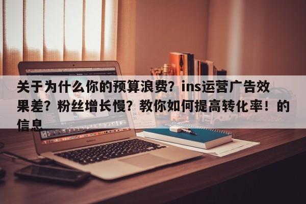 关于为什么你的预算浪费？ins运营广告效果差？粉丝增长慢？教你如何提高转化率！的信息