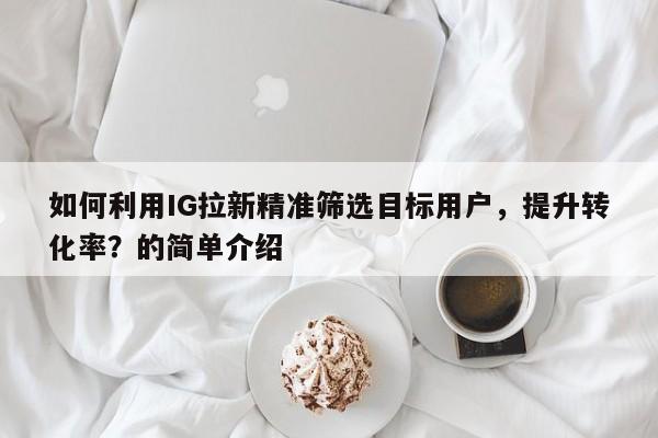 如何利用IG拉新精准筛选目标用户，提升转化率？的简单介绍