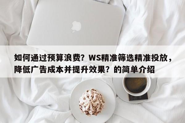 如何通过预算浪费？WS精准筛选精准投放，降低广告成本并提升效果？的简单介绍